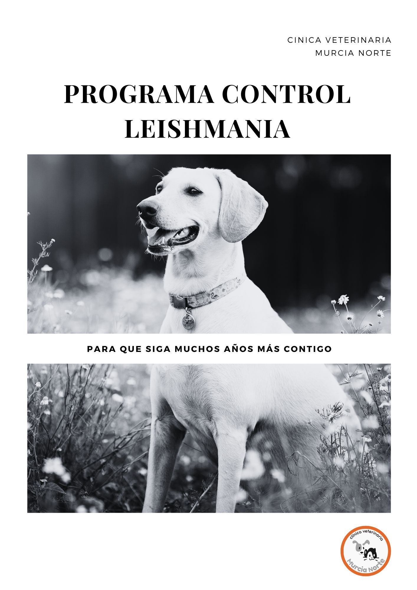 leishmania, control leishmaniosis, control leishmania