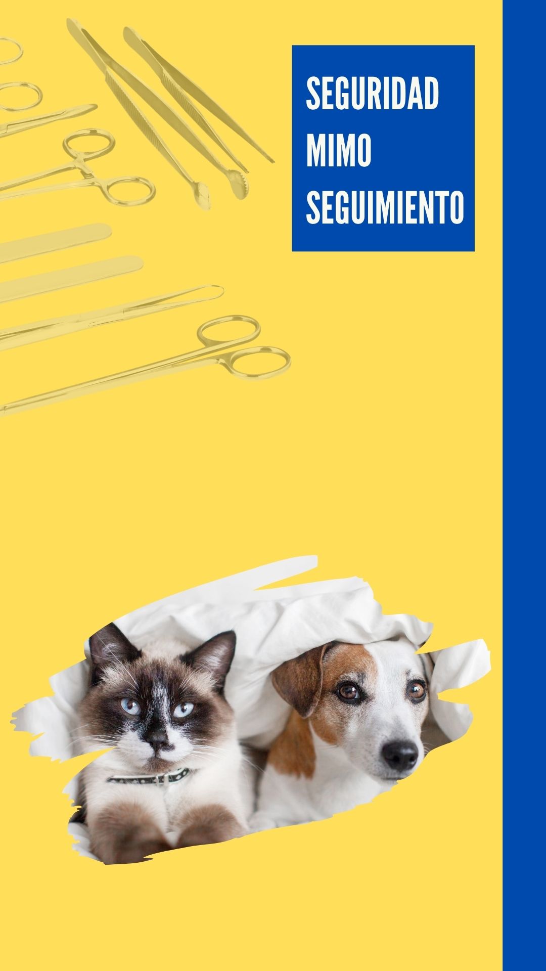 Imagen de un gato y un perro tras cirugía castración – Clínica Murcia Norte