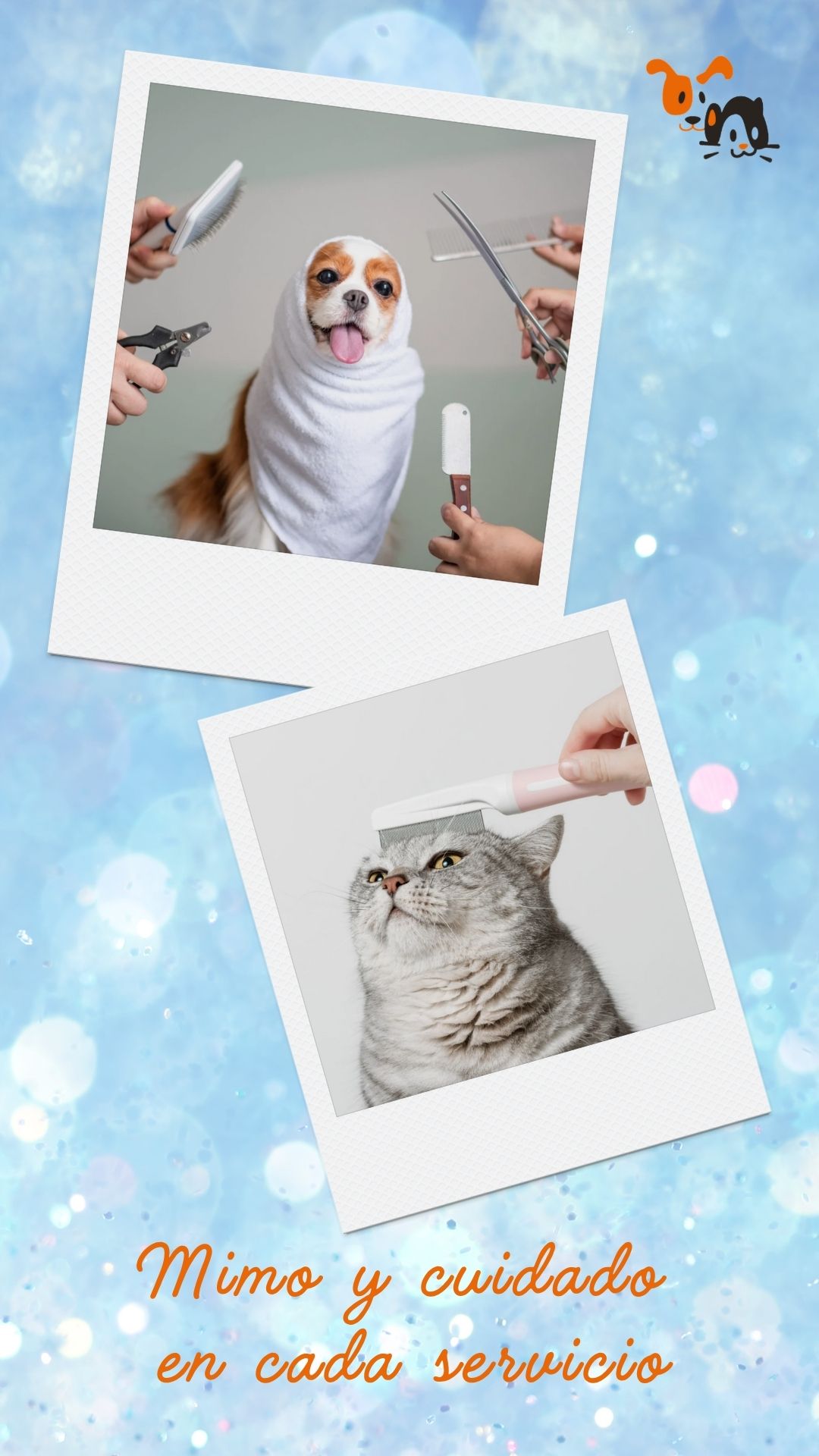 Perro y gato durante sesión de peluquería. Mimo y cuidado en cada servicio de peluquería canina y felina.