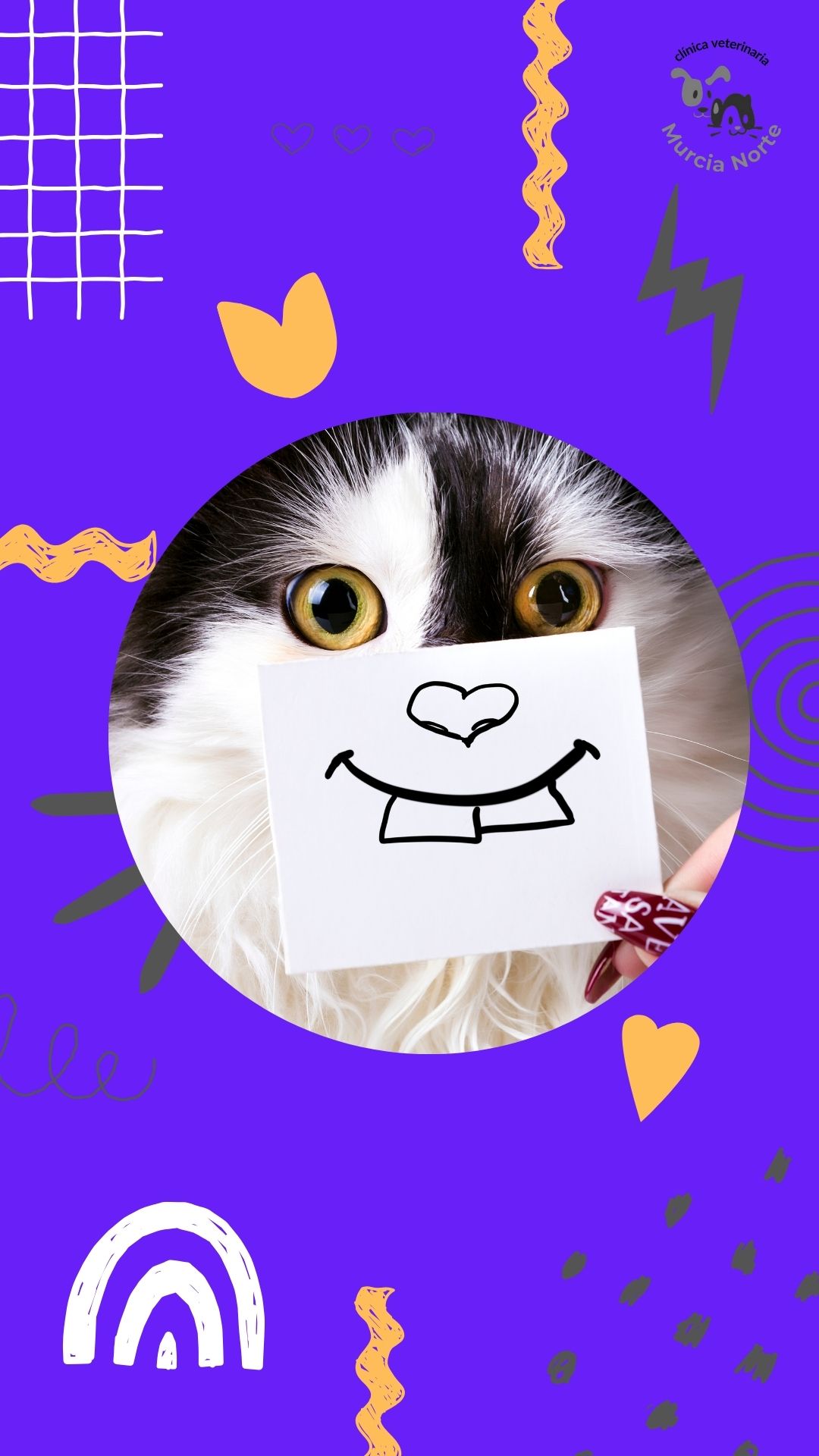 Cartel del programa veterinario para perros y gatos con IBD y linfoma intestinal – Clínica Veterinaria Murcia Norte