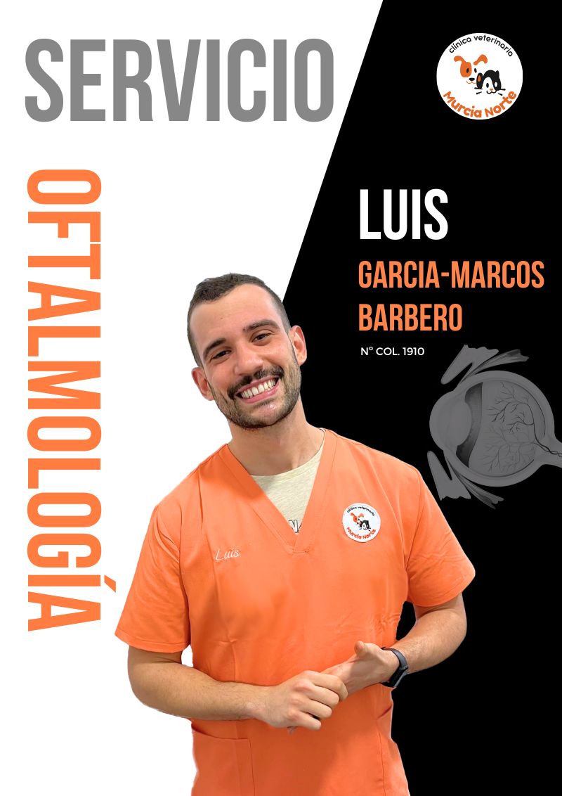 Luis García-Marcos, veterinario oftalmólogo colegiado. Responsable del servicio de oftalmología en Clínica Veterinaria Murcia Norte
